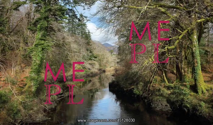 : River, County Galway, Ireland : River, County Galway, Ireland