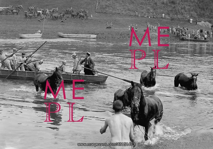 : River crossing of a cavalry regiment, 1913 : River crossing of a cavalry regiment, 1913