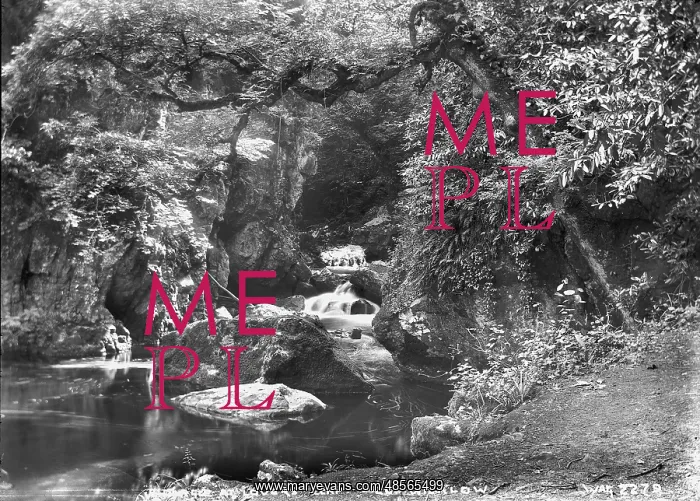 : River Dargue at Lovers Leap : River Dargue at Lovers Leap
