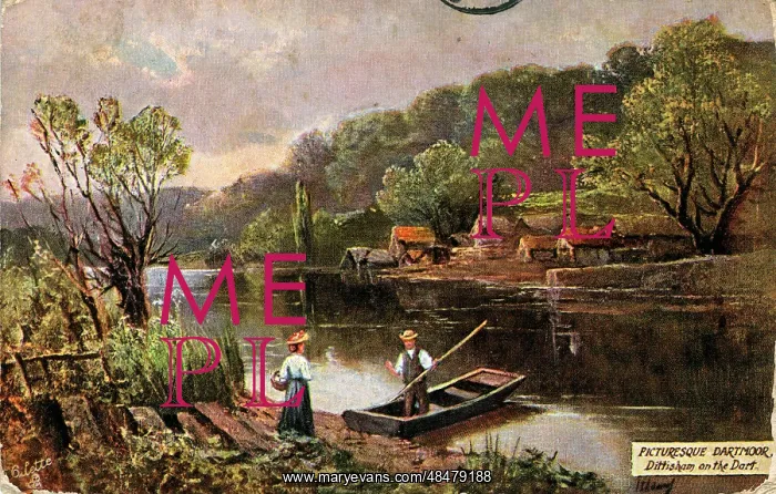 : The River Dart, Dittisham, Devon : The River Dart, Dittisham, Devon