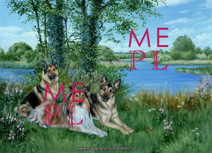 : By the River ? with three dogs : By the River ? with three dogs