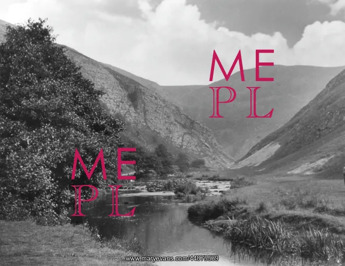 : THE RIVER DOVE : THE RIVER DOVE
