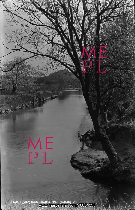 : River Esk at Sleights : River Esk at Sleights