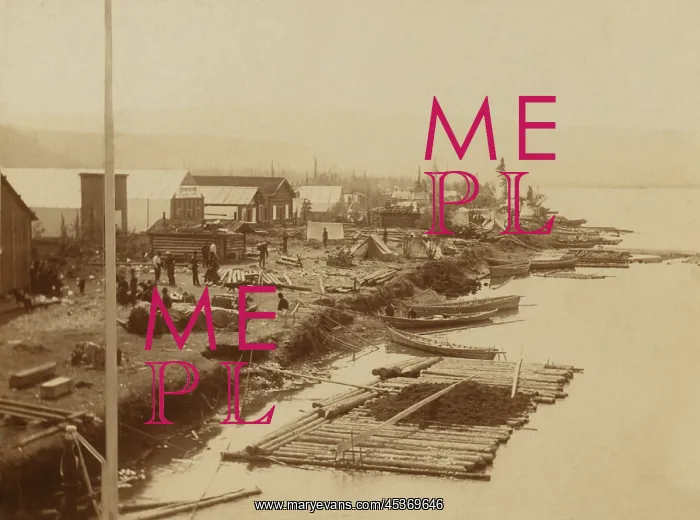 : The river front, Dawson City, Yukon Territory : The river front, Dawson City, Yukon Territory