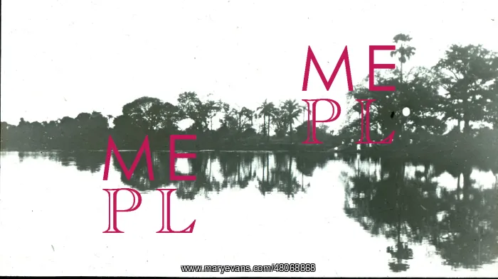 : River Gambia (reflections) : River Gambia (reflections)