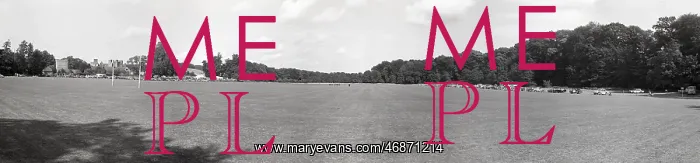  : River ground at Cowdray Park