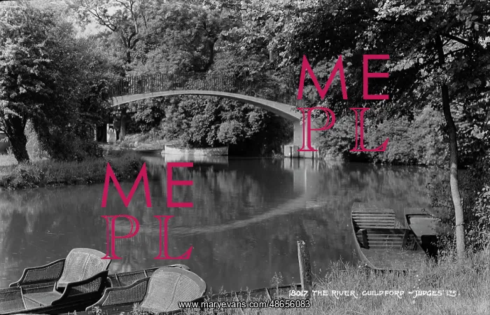 : The River in Guildford : The River in Guildford