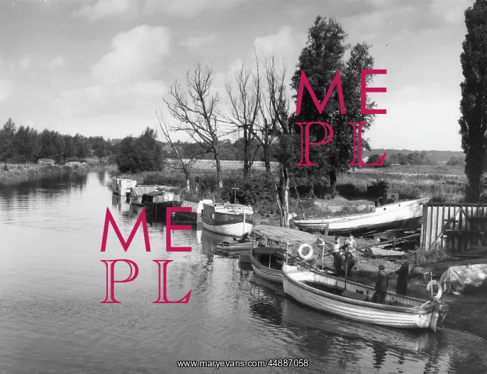 : THE RIVER LEA : THE RIVER LEA