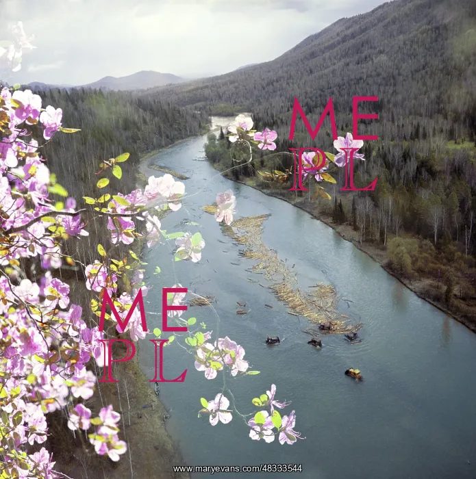 : River log drive in Altai Territory, 1990 : River log drive in Altai Territory, 1990