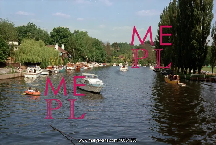 : River Medway at Allington, Maidstone : River Medway at Allington, Maidstone
