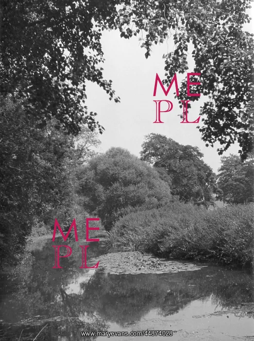  : THE RIVER MOLE