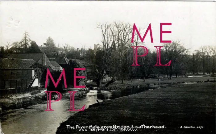 : River Mole, Leatherhead, Surrey : River Mole, Leatherhead, Surrey