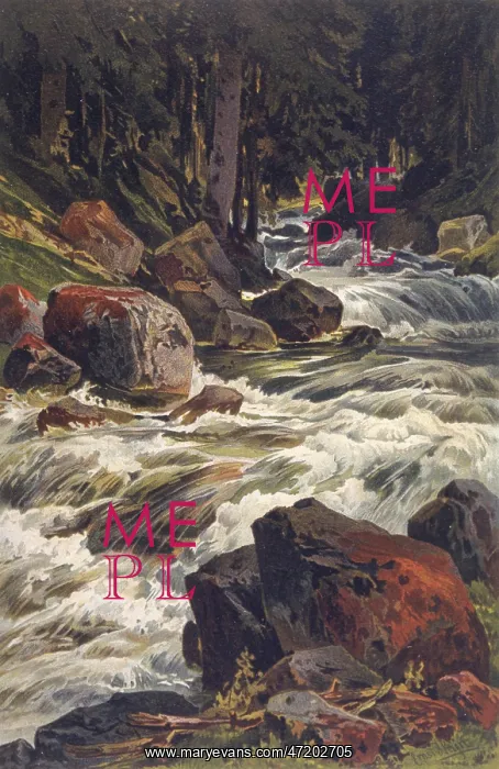 : RIVER & MOSS : RIVER & MOSS