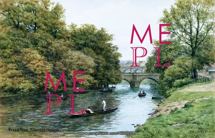 : River Nidd, Knaresborough, North Yorkshire : River Nidd, Knaresborough, North Yorkshire