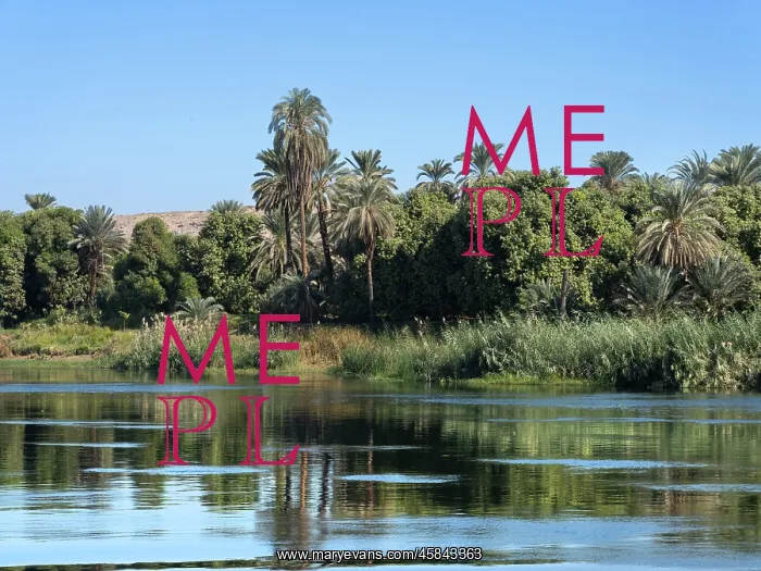 : River Nile, Aswan Governate, Egypt : River Nile, Aswan Governate, Egypt
