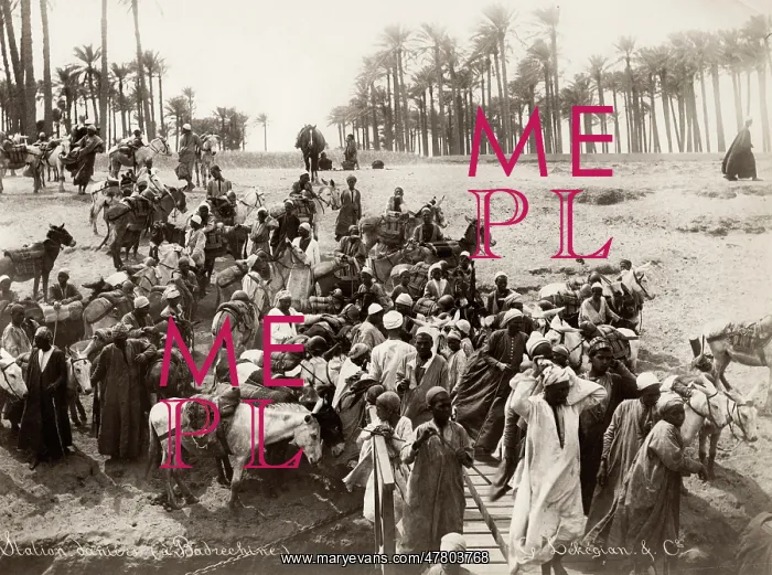 : River Nile, Egypt, crowd of men with mules and donkeys : River Nile, Egypt, crowd of men with mules and donkeys
