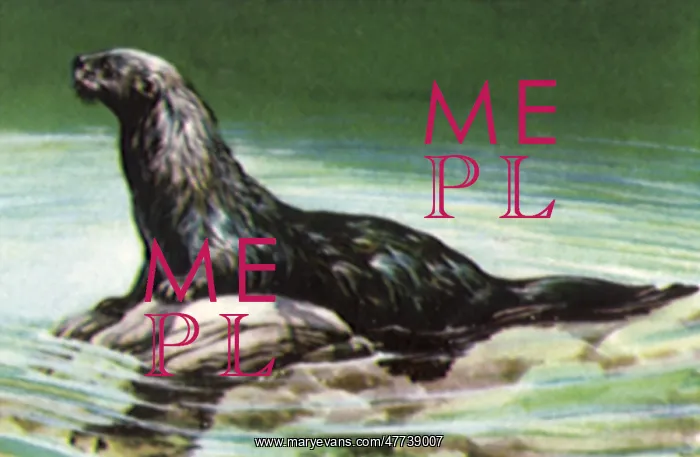  : River Otter