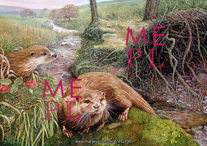 : The River ' two otters : The River ' two otters