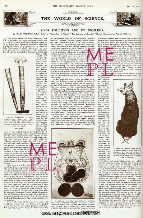 : River pollution and its problems, ILN January 1932 : River pollution and its problems, ILN January 1932