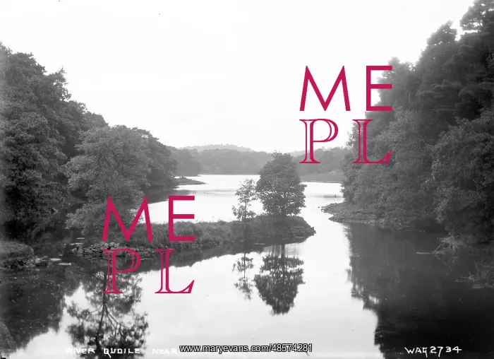 : River Quoile at Downpatrick : River Quoile at Downpatrick