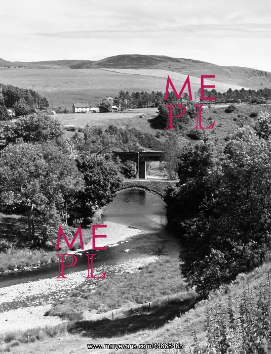 : RIVER RHEIDOL : RIVER RHEIDOL