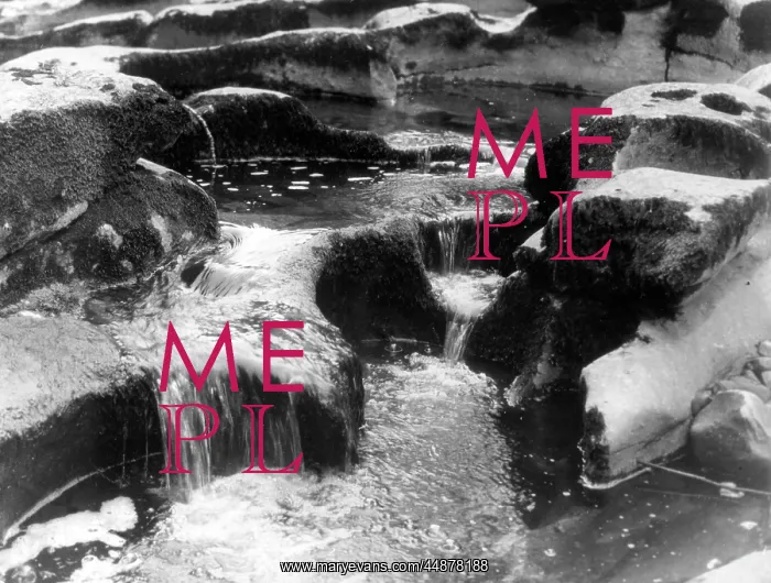 : RIVER ROCK POOLS : RIVER ROCK POOLS