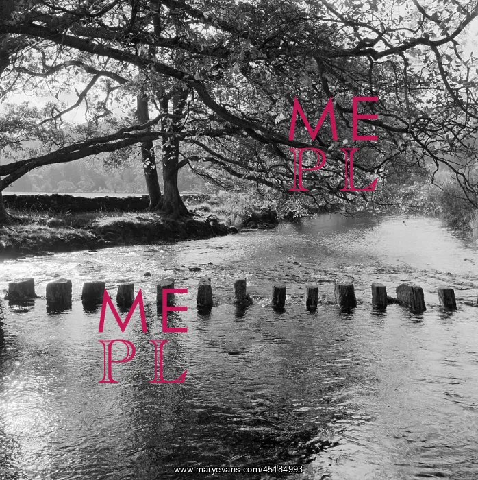 : River Rothay Stepping Stones : River Rothay Stepping Stones