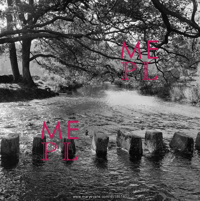 : River Rothay Stepping Stones : River Rothay Stepping Stones