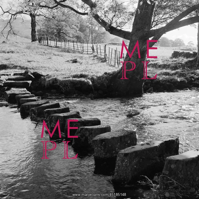 : River Rothay Stepping Stones : River Rothay Stepping Stones