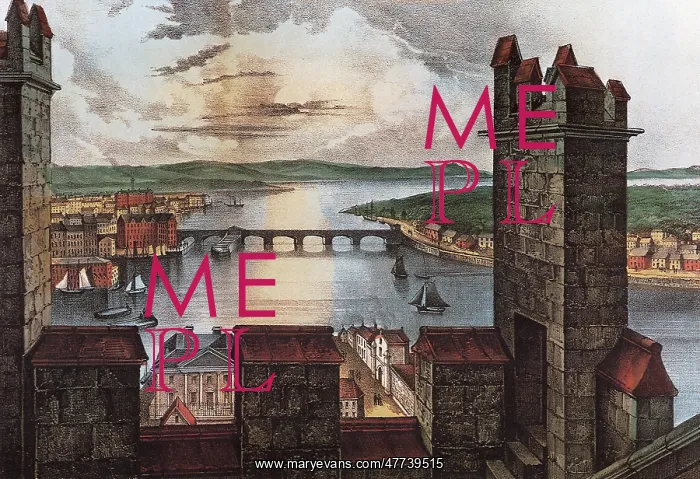 : The River Shannon from the Tower of Limerick Cathedral : The River Shannon from the Tower of Limerick Cathedral