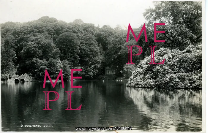 : The River, Stourhead, Wiltshire : The River, Stourhead, Wiltshire