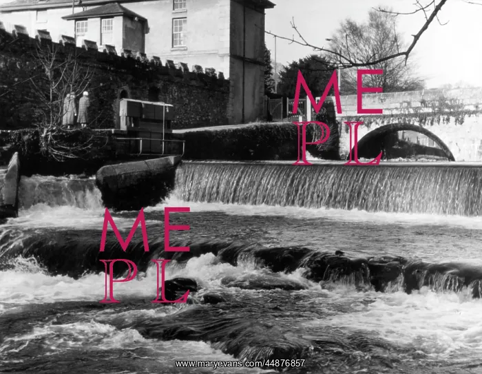 : RIVER TAVY WEIR : RIVER TAVY WEIR