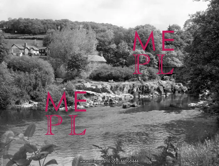 : THE RIVER TEIFI : THE RIVER TEIFI