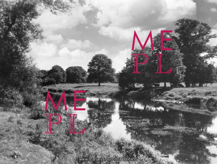 : THE RIVER TEIFI : THE RIVER TEIFI
