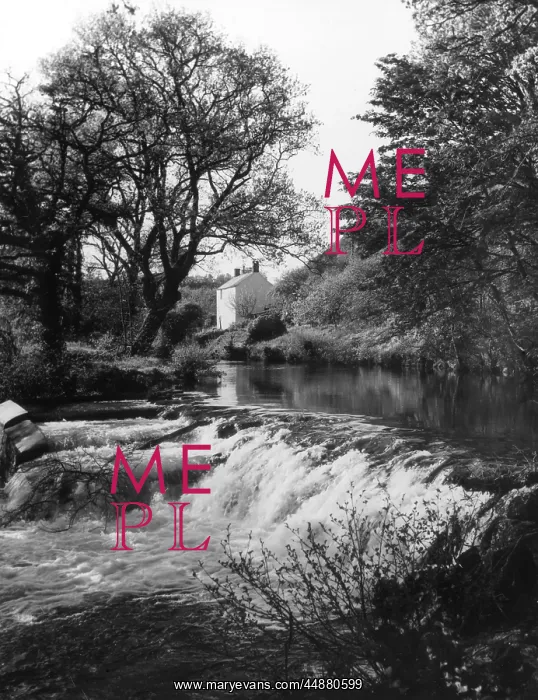 : RIVER TEIGN WEIR : RIVER TEIGN WEIR