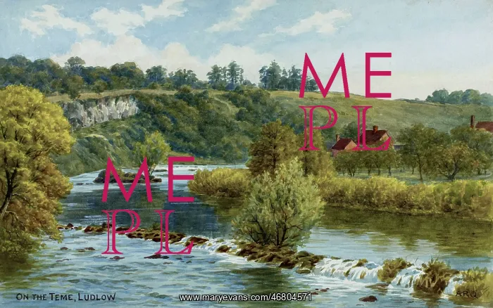 : River Teme, Ludlow, Shropshire : River Teme, Ludlow, Shropshire