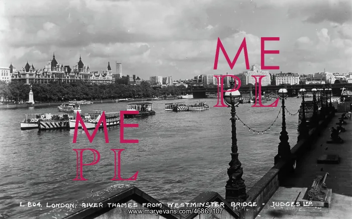 : River Thames from Westminster Bridge : River Thames from Westminster Bridge