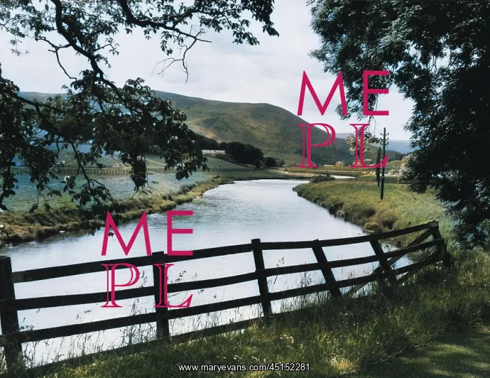 : THE RIVER TWEED : THE RIVER TWEED