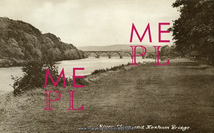  : River Tyne and Hexham Bridge, Northumberland
