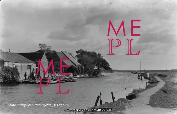 : The River at Wareham : The River at Wareham