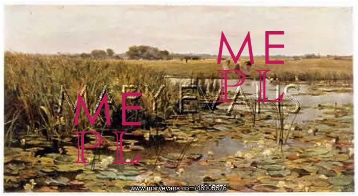 : RIVER WITH WATERLILIES : RIVER WITH WATERLILIES
