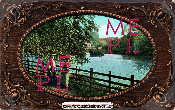 : The River, Welton Dale, Yorkshire : The River, Welton Dale, Yorkshire