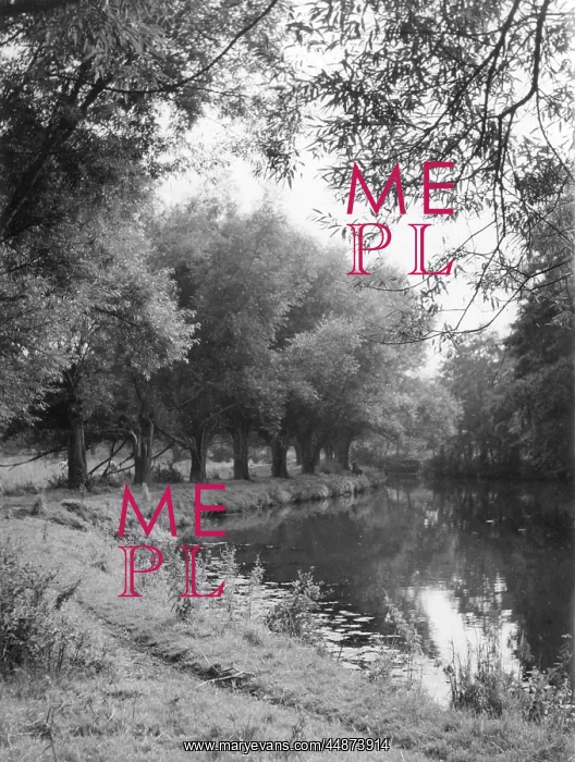 : THE RIVER WEY : THE RIVER WEY