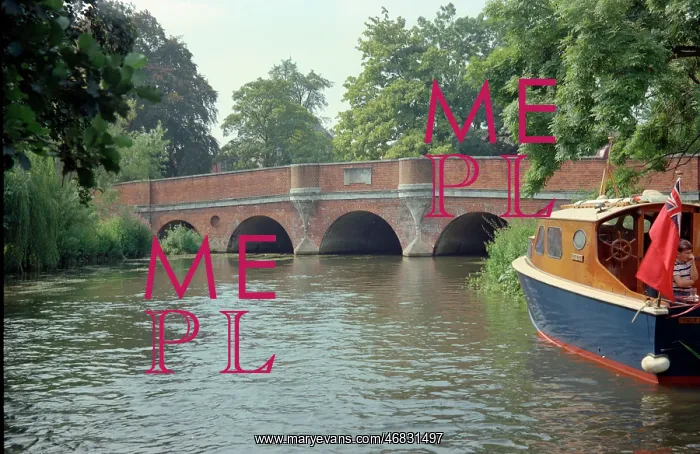: River Wey and bridge, Godalming : River Wey and bridge, Godalming