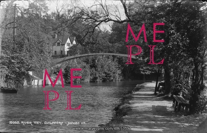 : River Wey in Guildford : River Wey in Guildford