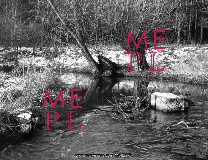 : THE RIVER WHITEWATER : THE RIVER WHITEWATER