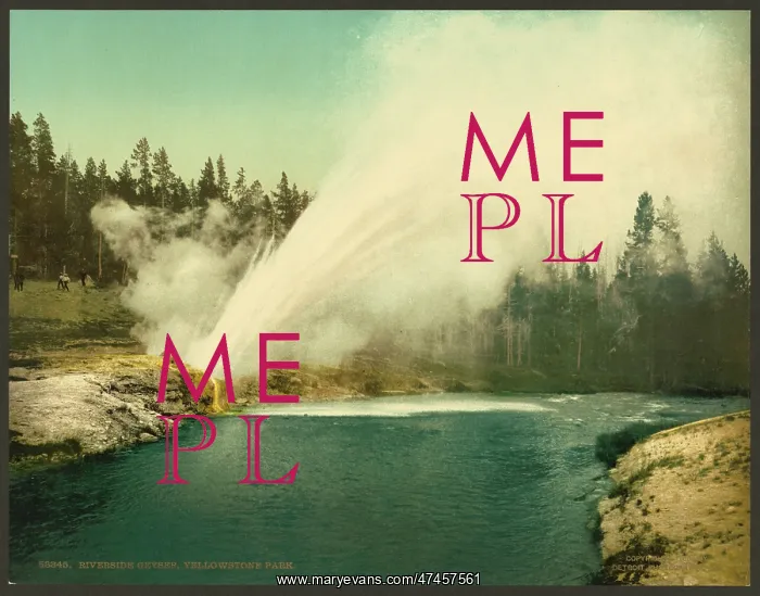 : Riverside Geyser, Yellowstone Park : Riverside Geyser, Yellowstone Park