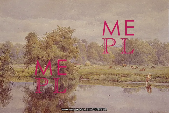 : Riverside Meadows, Belvoir Park : Riverside Meadows, Belvoir Park