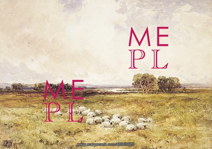 : The Riverside Pasture : The Riverside Pasture