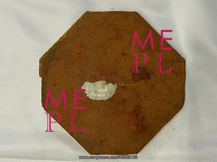 : RMS Carpathia, salvaged red octagonal floor tile : RMS Carpathia, salvaged red octagonal floor tile